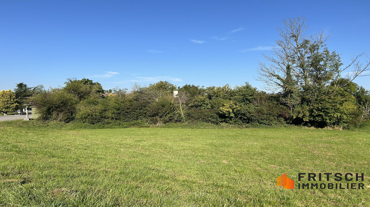 Ma-Cabane - Vente Terrain Michelbach le haut, 1298 m²