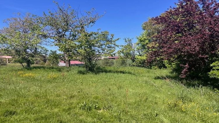 Ma-Cabane - Vente Terrain Miélan, 3181 m²