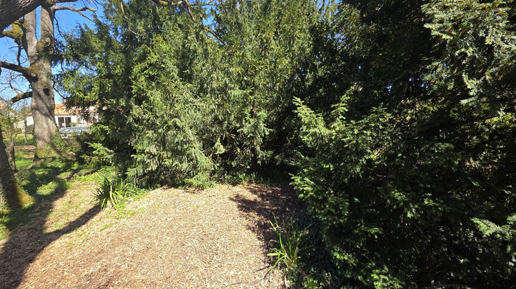 Ma-Cabane - Vente Terrain MIGNALOUX BEAUVOIR, 1850 m²