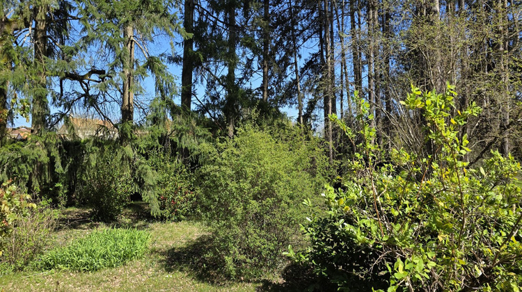 Ma-Cabane - Vente Terrain MIGNALOUX BEAUVOIR, 1850 m²