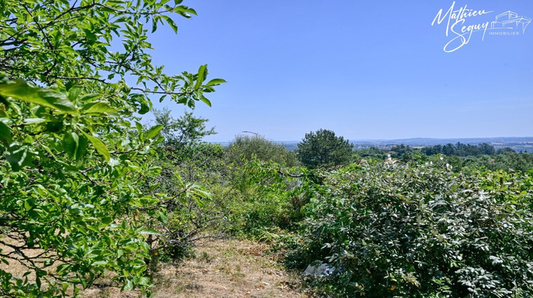 Ma-Cabane - Vente Terrain MILLERY, 909 m²