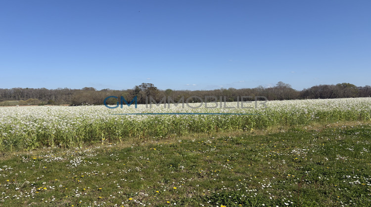 Ma-Cabane - Vente Terrain Mimbaste, 737 m²