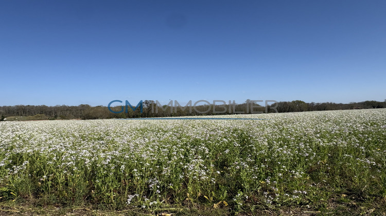 Ma-Cabane - Vente Terrain Mimbaste, 737 m²