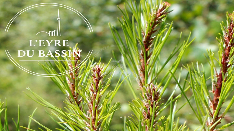 Ma-Cabane - Vente Terrain MIOS, 807 m²