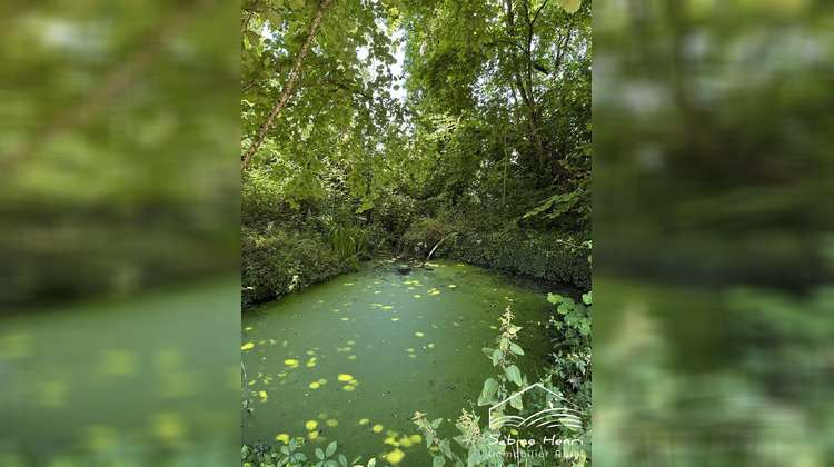 Ma-Cabane - Vente Terrain Mirandol-Bourgnounac, 6238 m²