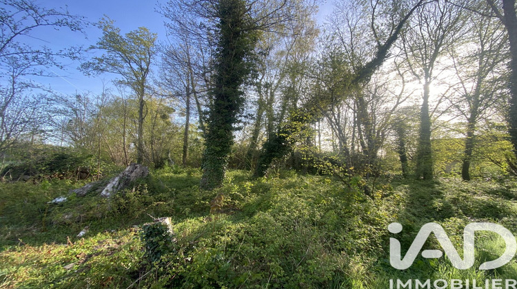 Ma-Cabane - Vente Terrain Mittainville, 1226 m²