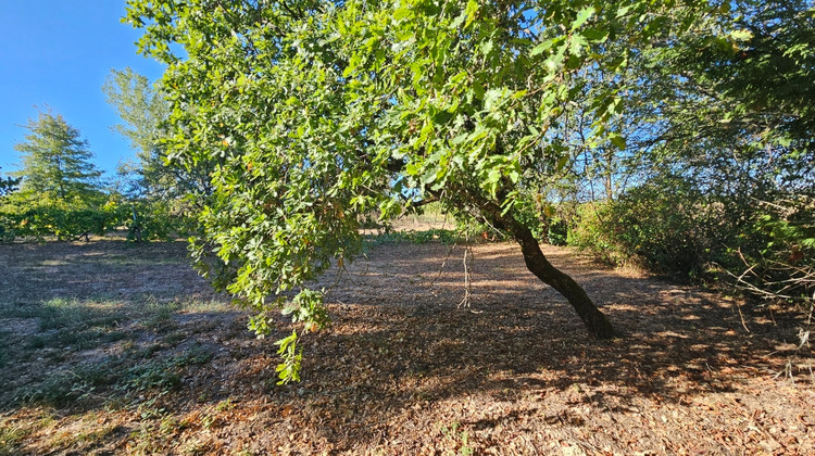 Ma-Cabane - Vente Terrain MOIRAX, 895 m²