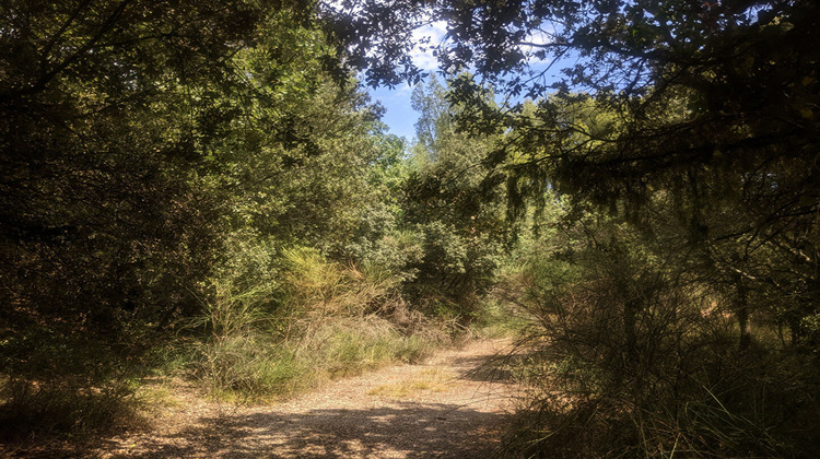 Ma-Cabane - Vente Terrain MOISSAC-BELLEVUE, 6665 m²