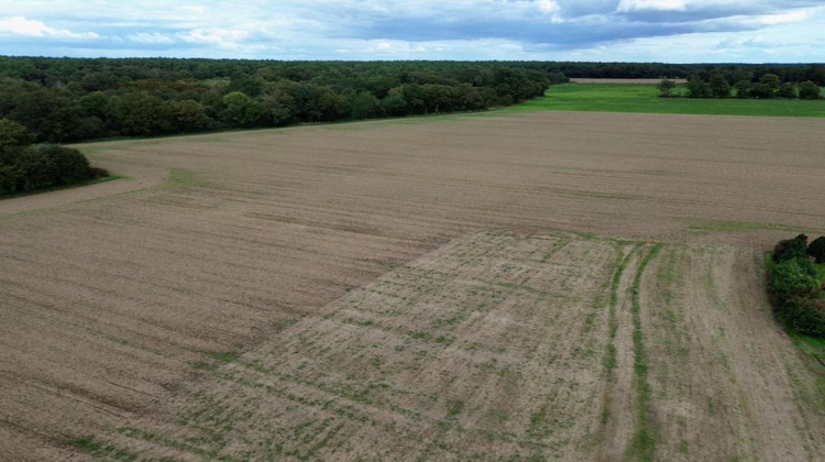 Ma-Cabane - Vente Terrain MOLAC, 750 m²