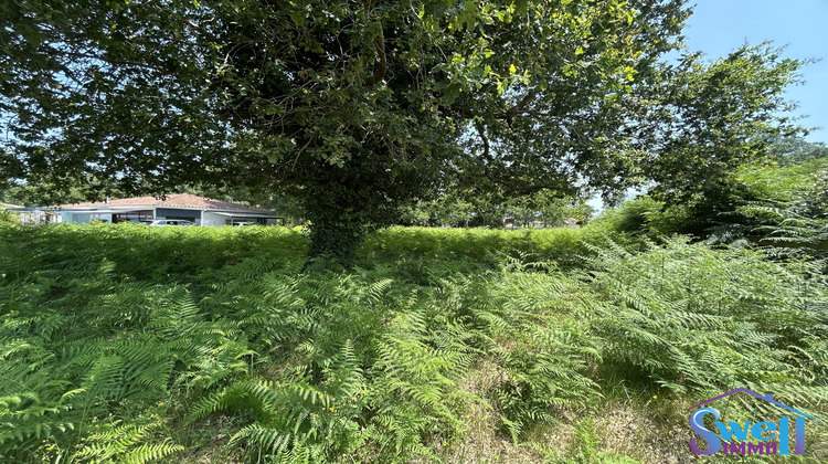 Ma-Cabane - Vente Terrain Moliets-et-Maa, 800 m²