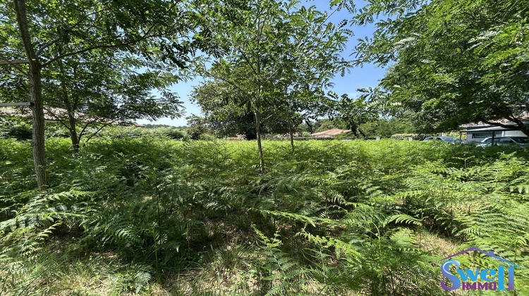 Ma-Cabane - Vente Terrain Moliets-et-Maa, 800 m²