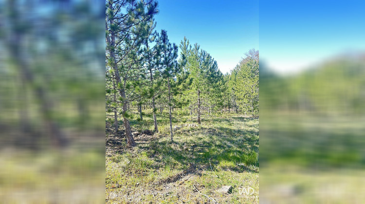 Ma-Cabane - Vente Terrain Mollans-sur-Ouvèze, 501 m²