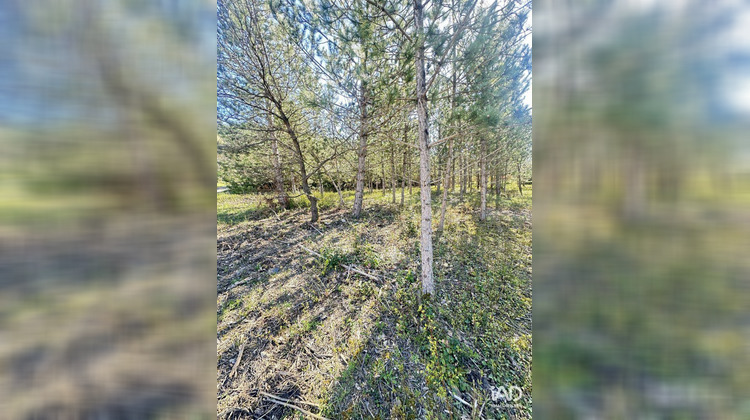 Ma-Cabane - Vente Terrain Mollans-sur-Ouvèze, 501 m²