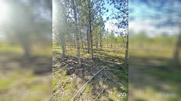 Ma-Cabane - Vente Terrain Mollans-sur-Ouvèze, 501 m²