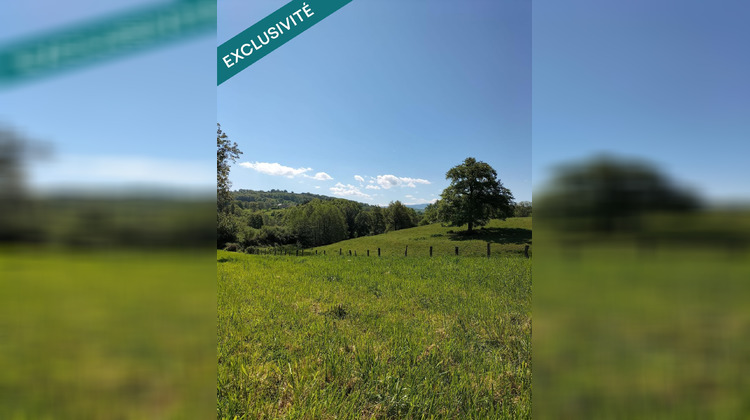 Ma-Cabane - Vente Terrain Molles, 1505 m²