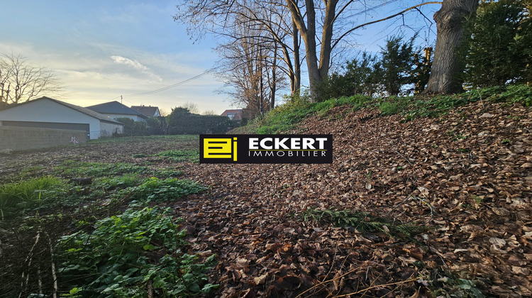 Ma-Cabane - Vente Terrain Molsheim, 728 m²