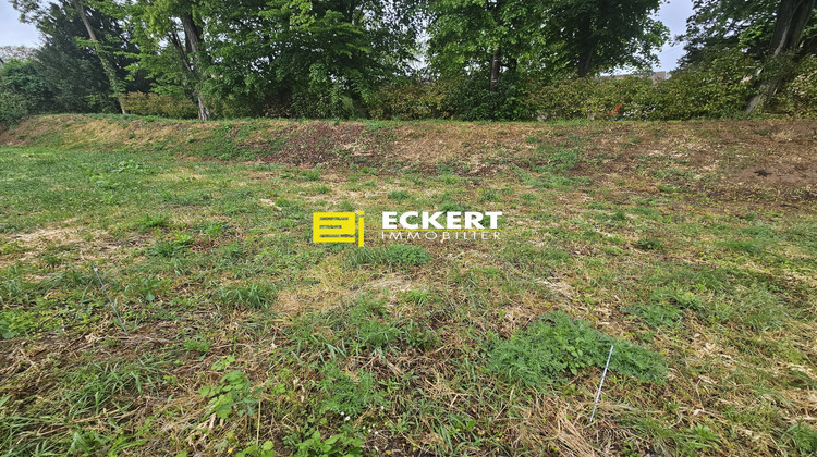 Ma-Cabane - Vente Terrain Molsheim, 728 m²