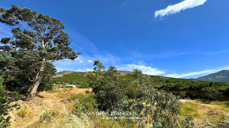 Ma-Cabane - Vente Terrain Moncale, 2620 m²