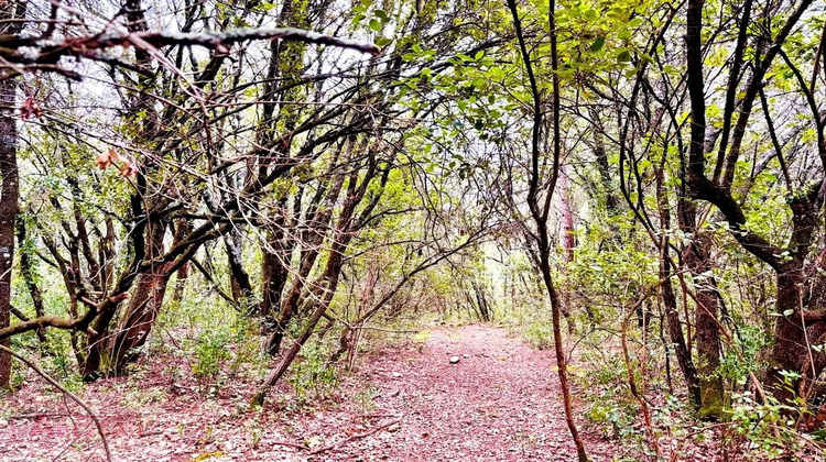 Ma-Cabane - Vente Terrain MONOBLET, 8074 m²