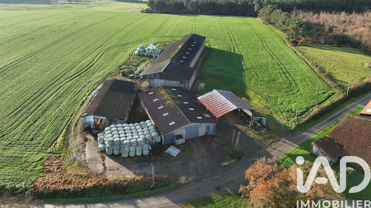 Ma-Cabane - Vente Terrain Monsireigne, 6850 m²