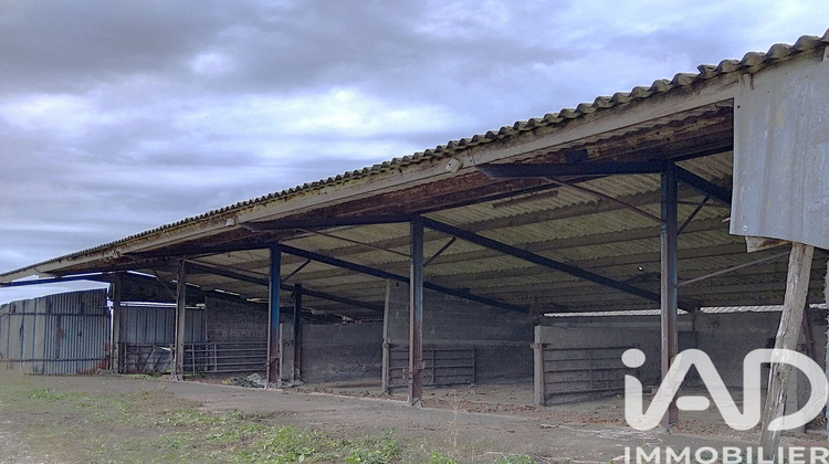 Ma-Cabane - Vente Terrain Monsireigne, 6850 m²