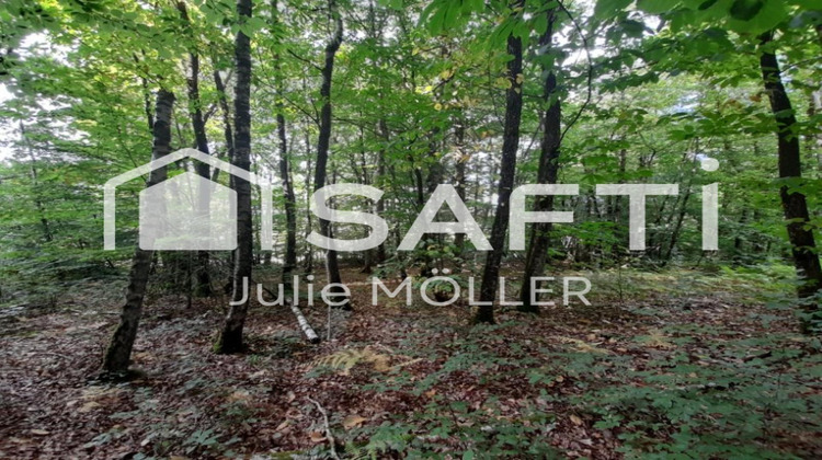 Ma-Cabane - Vente Terrain Montaigut-le-Blanc, 2866 m²