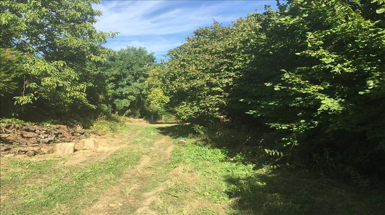 Ma-Cabane - Vente Terrain MONTAINVILLE, 3779 m²