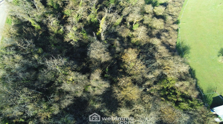 Ma-Cabane - Vente Terrain Montamisé, 7439 m²