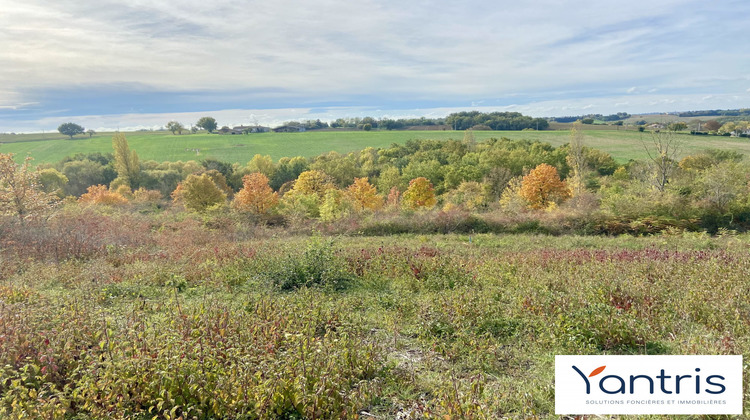Ma-Cabane - Vente Terrain Montastruc-la-Conseillère, 1345 m²