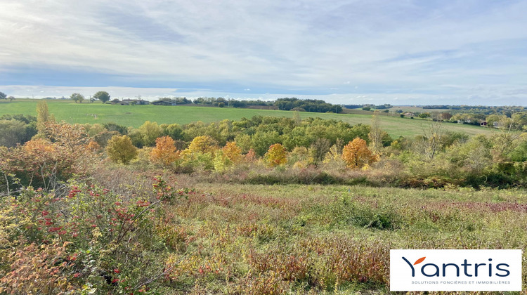 Ma-Cabane - Vente Terrain Montastruc-la-Conseillère, 1345 m²
