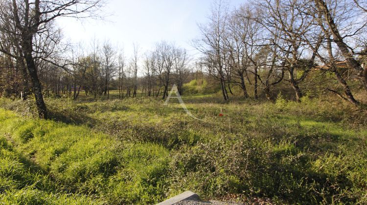 Ma-Cabane - Vente Terrain MONTAUBAN, 6000 m²