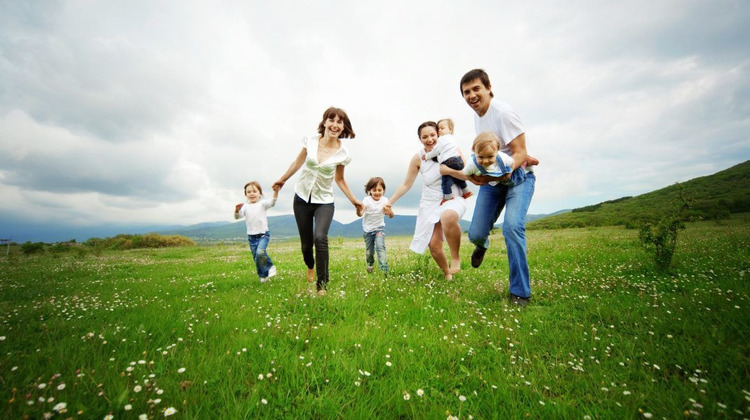 Ma-Cabane - Vente Terrain MONTAUBAN-DE-BRETAGNE, 292 m²