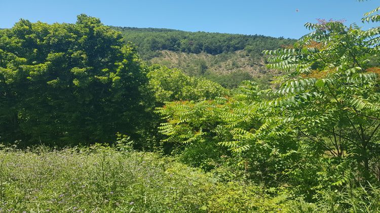 Ma-Cabane - Vente Terrain Montaulieu, 3590 m²