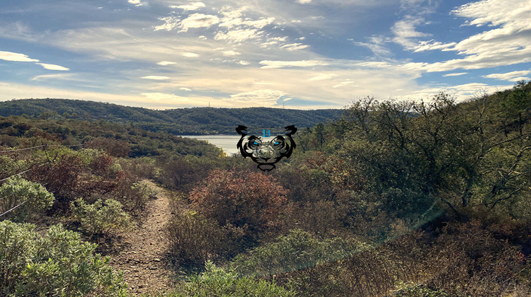 Ma-Cabane - Vente Terrain MONTAUROUX, 22630 m²