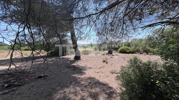 Ma-Cabane - Vente Terrain MONTBAZIN, 8527 m²