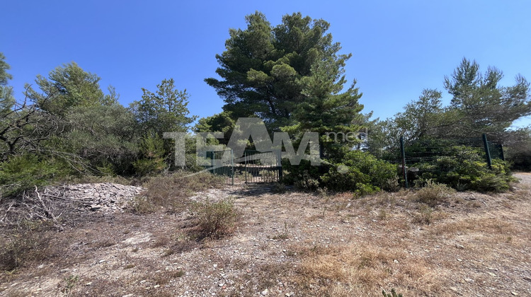 Ma-Cabane - Vente Terrain MONTBAZIN, 8527 m²