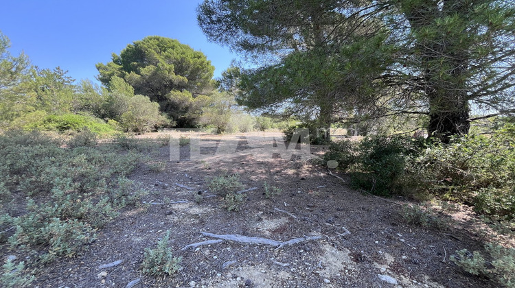 Ma-Cabane - Vente Terrain MONTBAZIN, 8527 m²