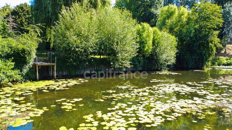 Ma-Cabane - Vente Terrain MONTBIZOT, 4588 m²