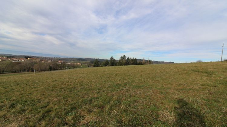 Ma-Cabane - Vente Terrain MONTCHAL, 1240 m²