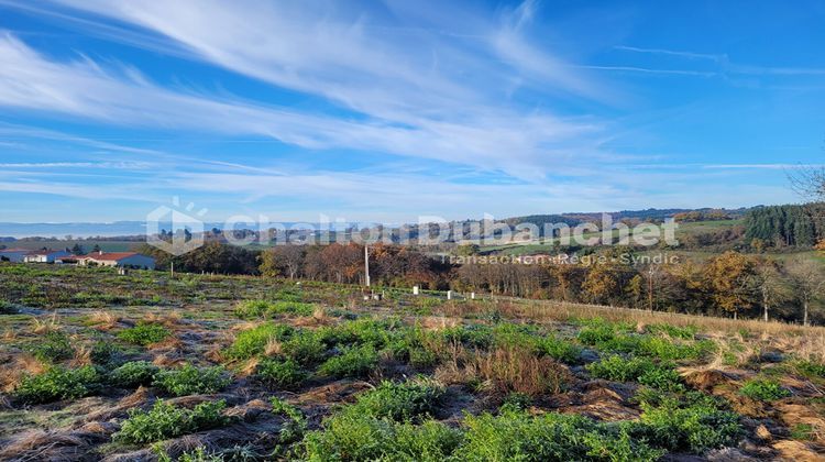 Ma-Cabane - Vente Terrain MONTCHAL, 554 m²