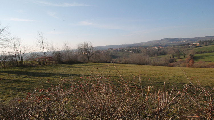 Ma-Cabane - Vente Terrain MONTCHAL, 1329 m²