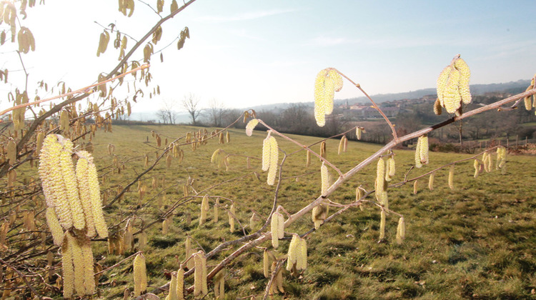 Ma-Cabane - Vente Terrain MONTCHAL, 1245 m²