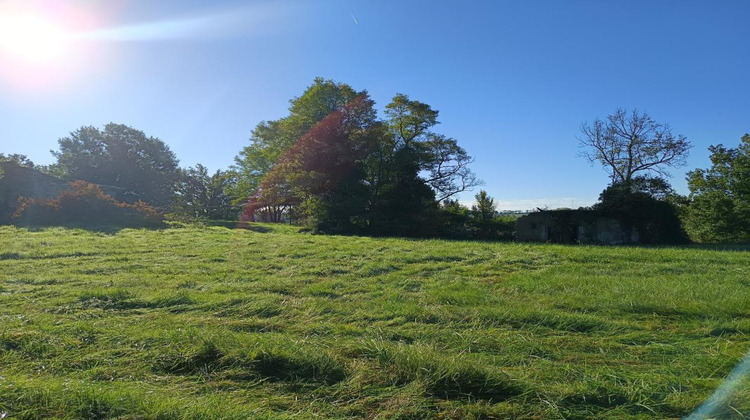 Ma-Cabane - Vente Terrain MONTDURAUSSE, 9582 m²