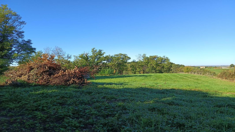 Ma-Cabane - Vente Terrain MONTDURAUSSE, 9582 m²