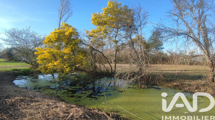 Ma-Cabane - Vente Terrain Montdurausse, 1200 m²