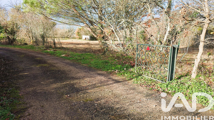 Ma-Cabane - Vente Terrain Montdurausse, 1200 m²