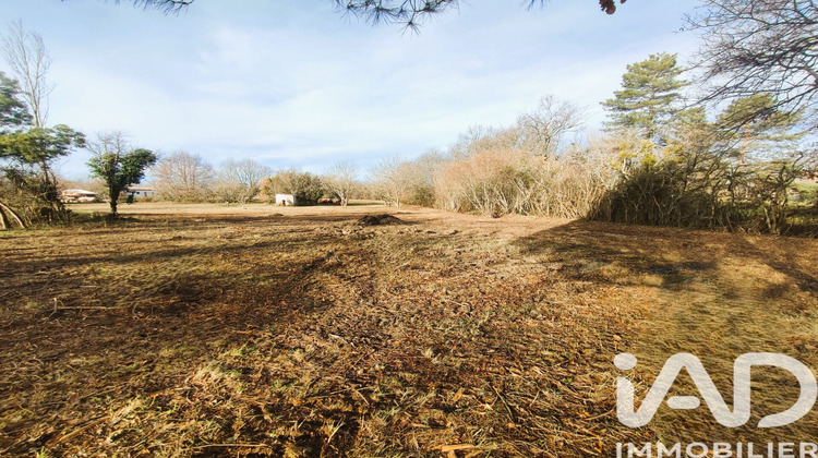 Ma-Cabane - Vente Terrain Montdurausse, 3577 m²
