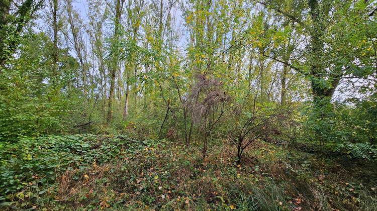 Ma-Cabane - Vente Terrain Montdurausse, 5100 m²