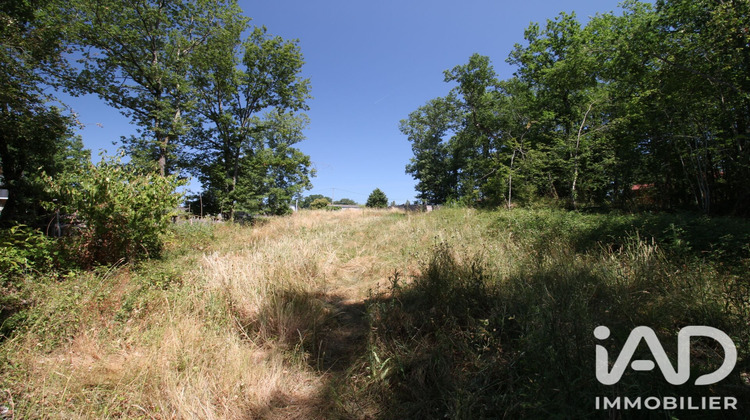 Ma-Cabane - Vente Terrain Montdurausse, 2000 m²