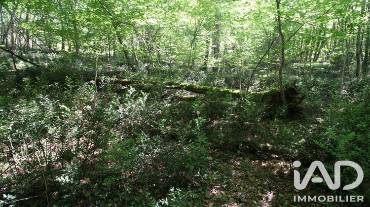 Ma-Cabane - Vente Terrain Montdurausse, 2000 m²